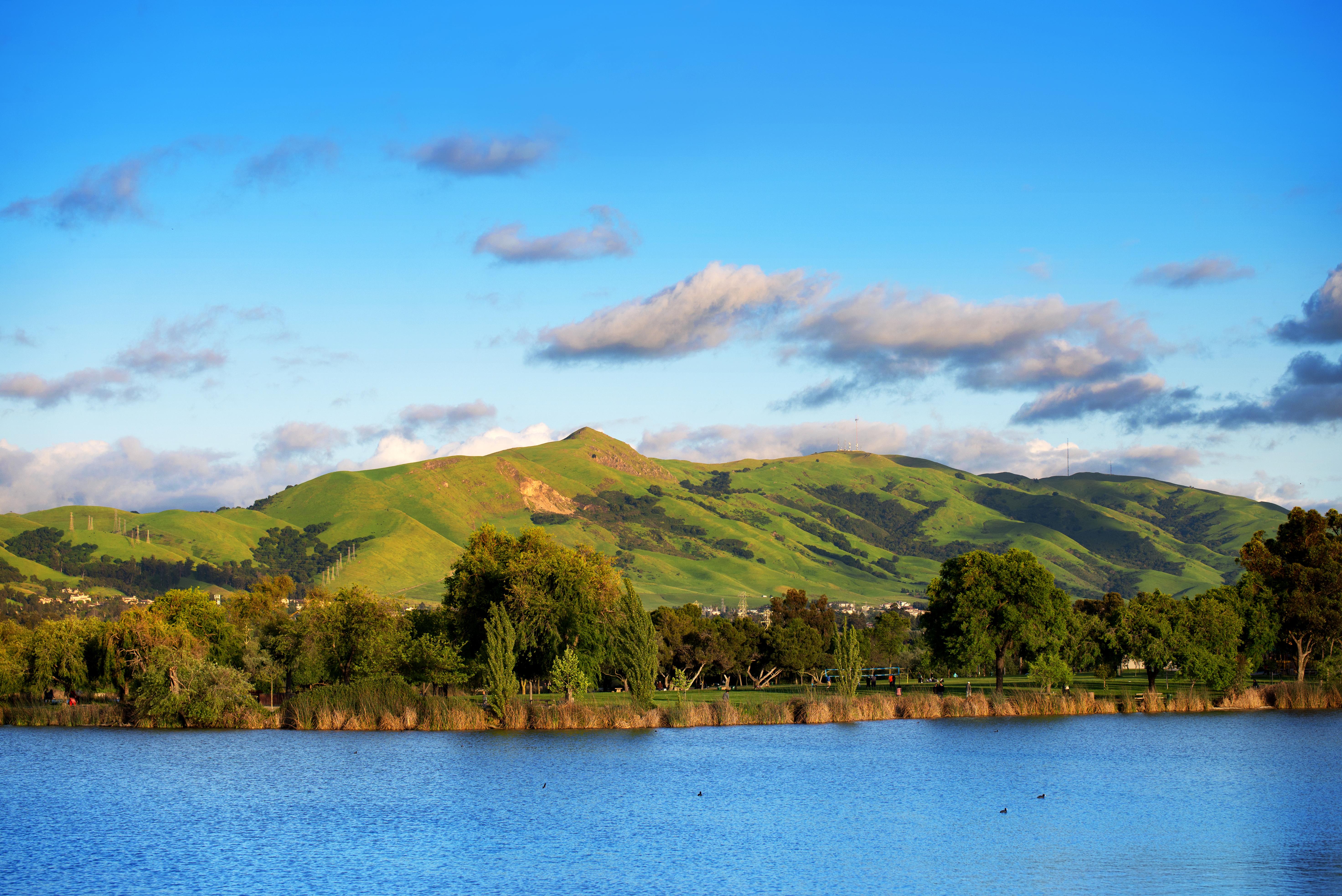 A tranquil landscape with a blue water body in the foreground, ducks swimming, greenery on the banks, and sunlit rolling green hills in the background under a blue sky with scattered clouds.